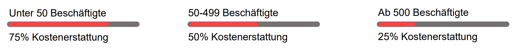 Schaubild über die Zuschüsse zum Arbeitsentgelt.