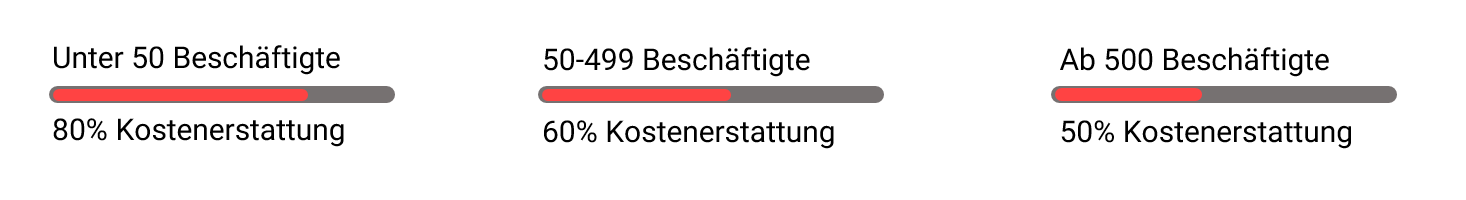 Arbeitsentgeltzuschuss (AEZ) 