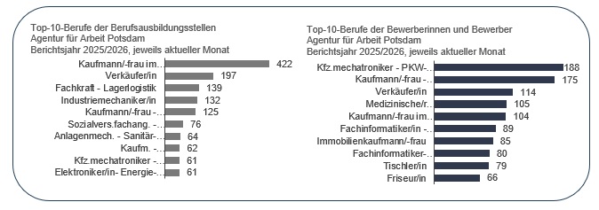 TOP 10 Berufe