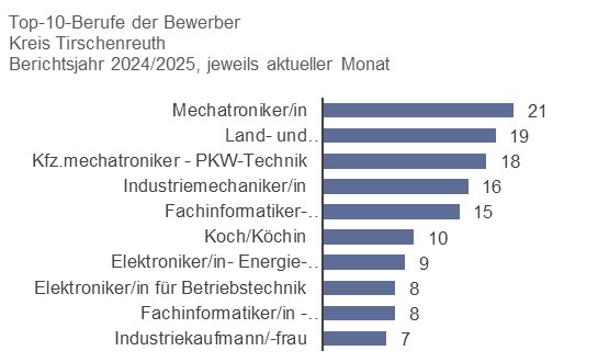 Top 10 Berufe Bewerber Kreis Tirschenreuth