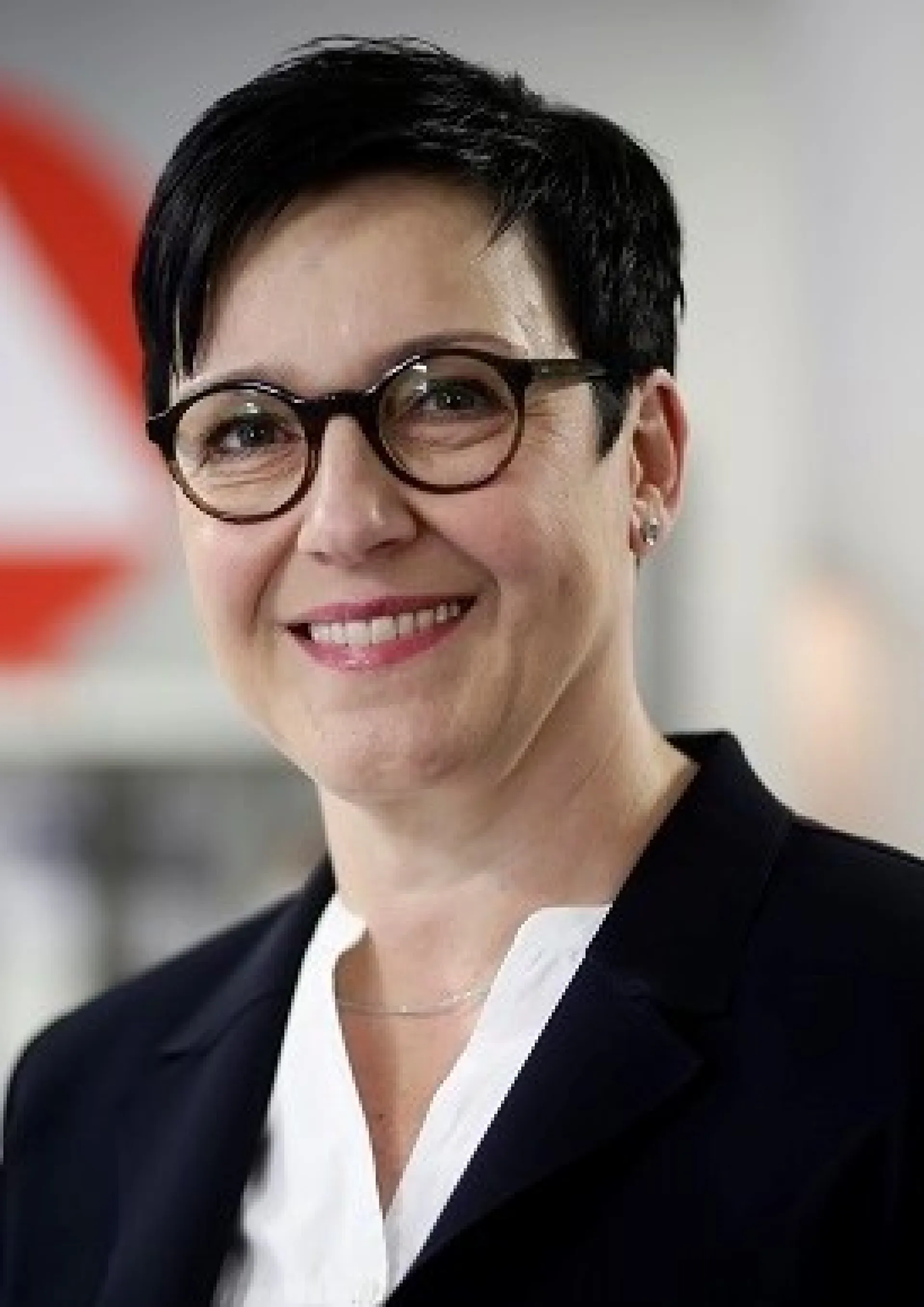 Heike Dornemann, Berufsberaterin