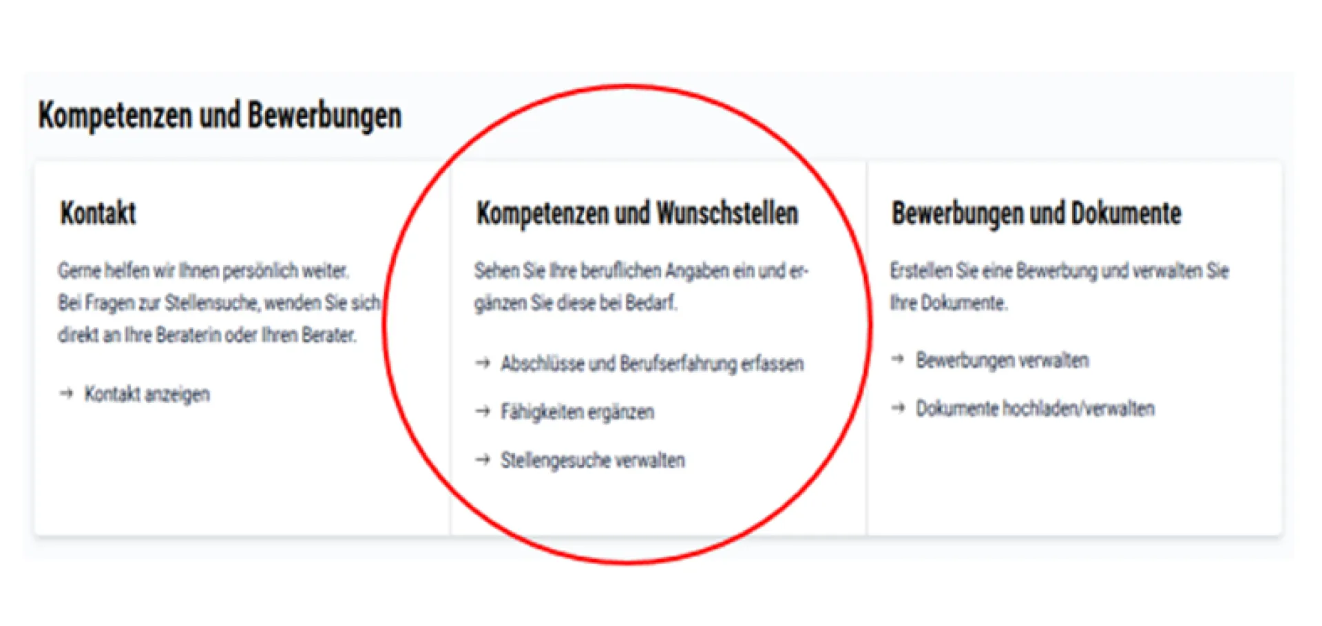 Kompetenzen und Wunschstellen