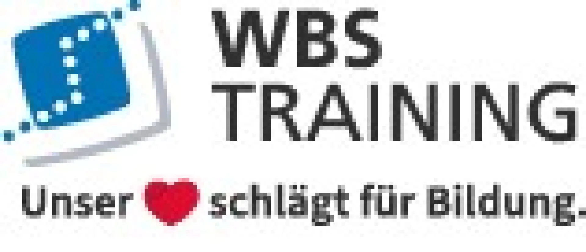 WBS TRAINING Logo