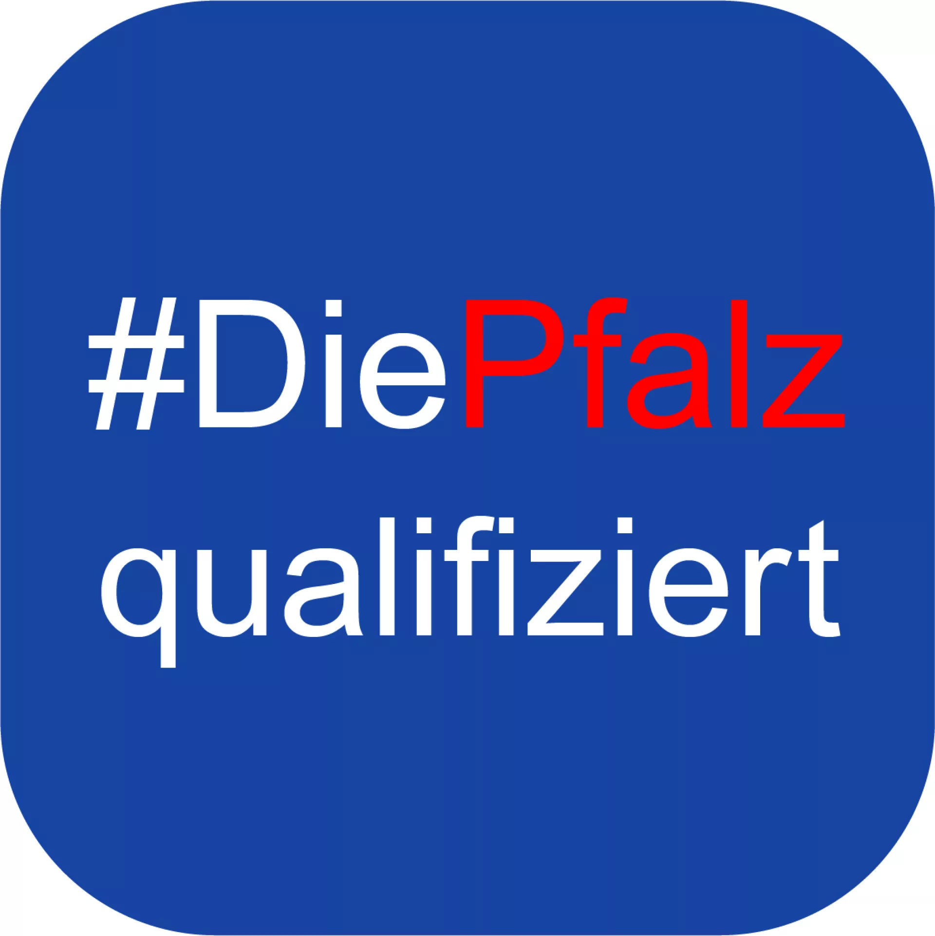 Logo "Die Pfalz qualifiziert"