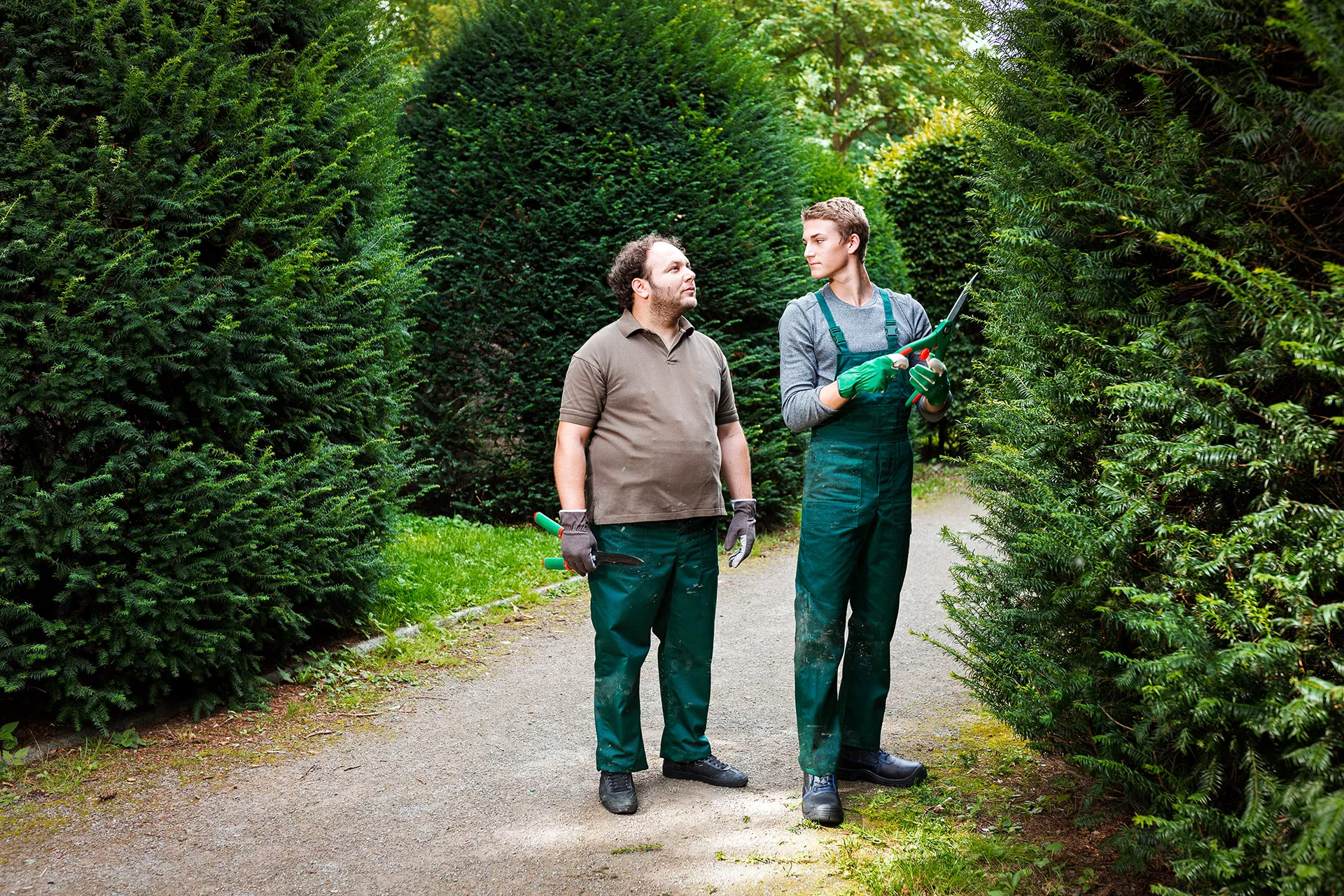 Zwei Männer bei Gartenarbeiten