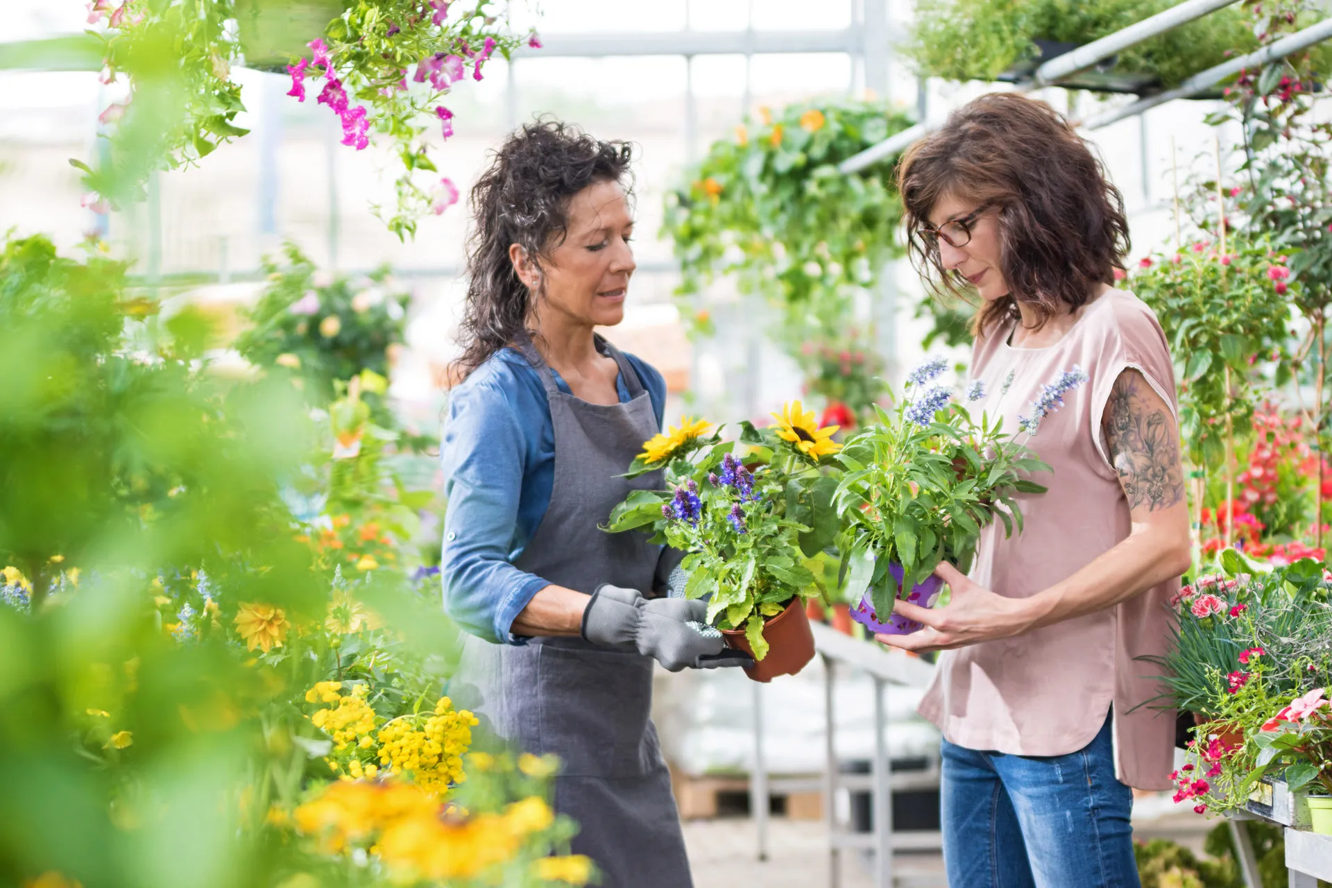 Zwei Frauen in einer Gärtnerei mit Blumentöpfen in der Hand sprechen miteinander