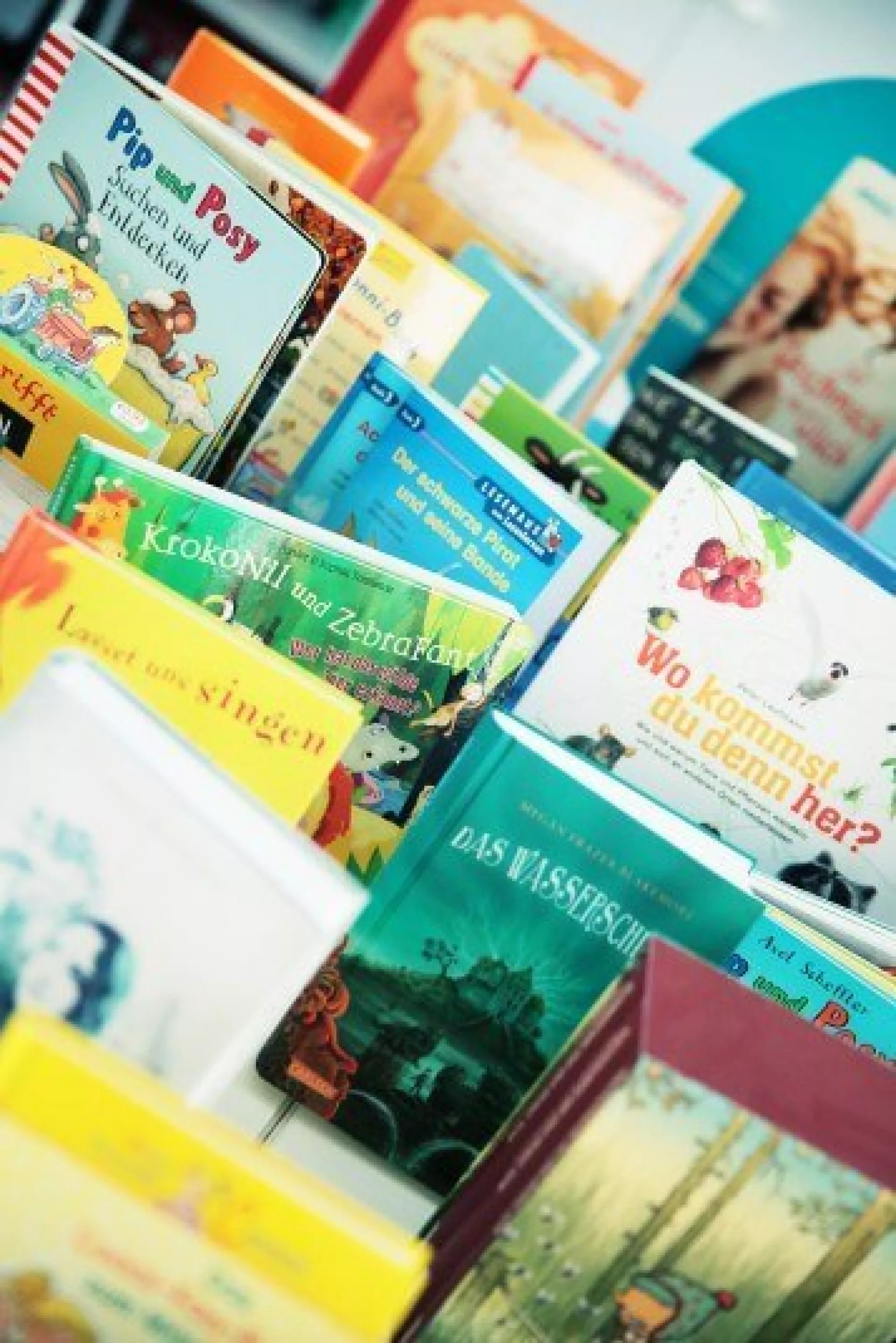 Auswahl diverser Kinder- und Jugendbücher